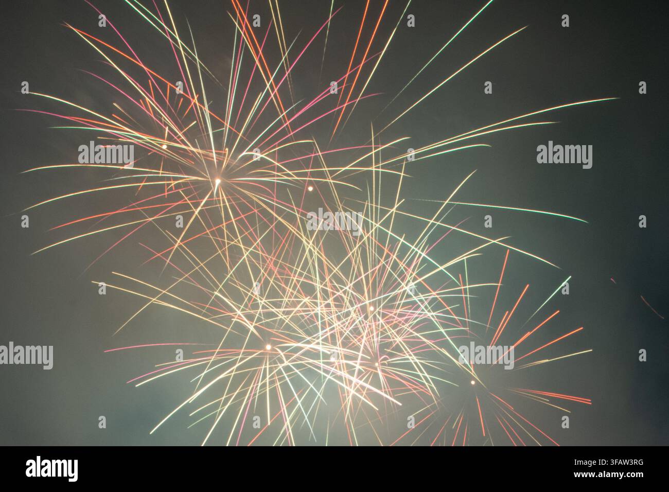 Un cliché vibrant de feux d'artifice explosant dans le ciel nocturne, avec des traînées rouges, vertes et dorées lumineuses rayonnant vers l'extérieur. Idéal comme fond festif Banque D'Images
