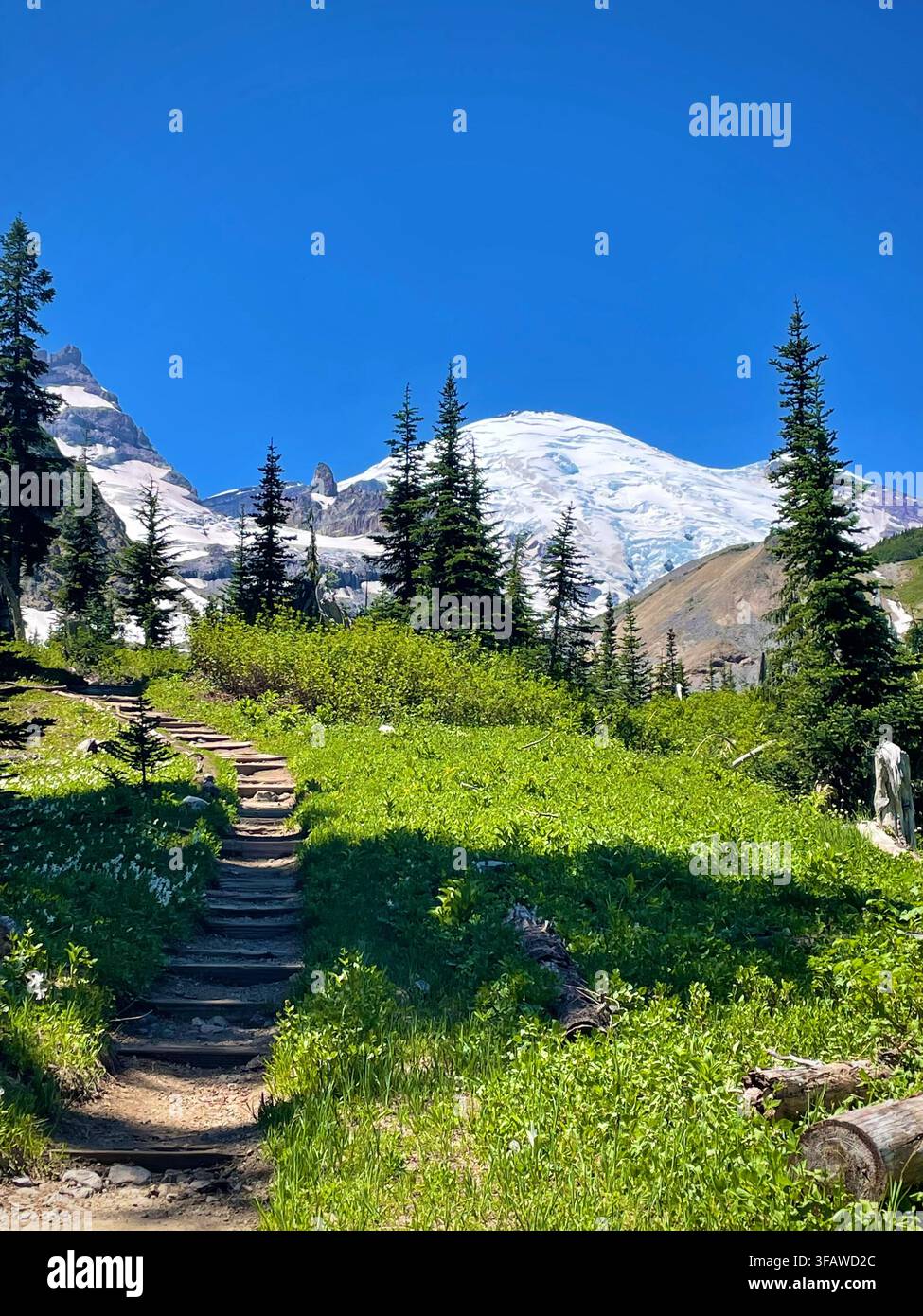 Sentier de montagne avec marches et Mt. Rainier (Parc national du mont Rainier, Washington, États-Unis) Banque D'Images