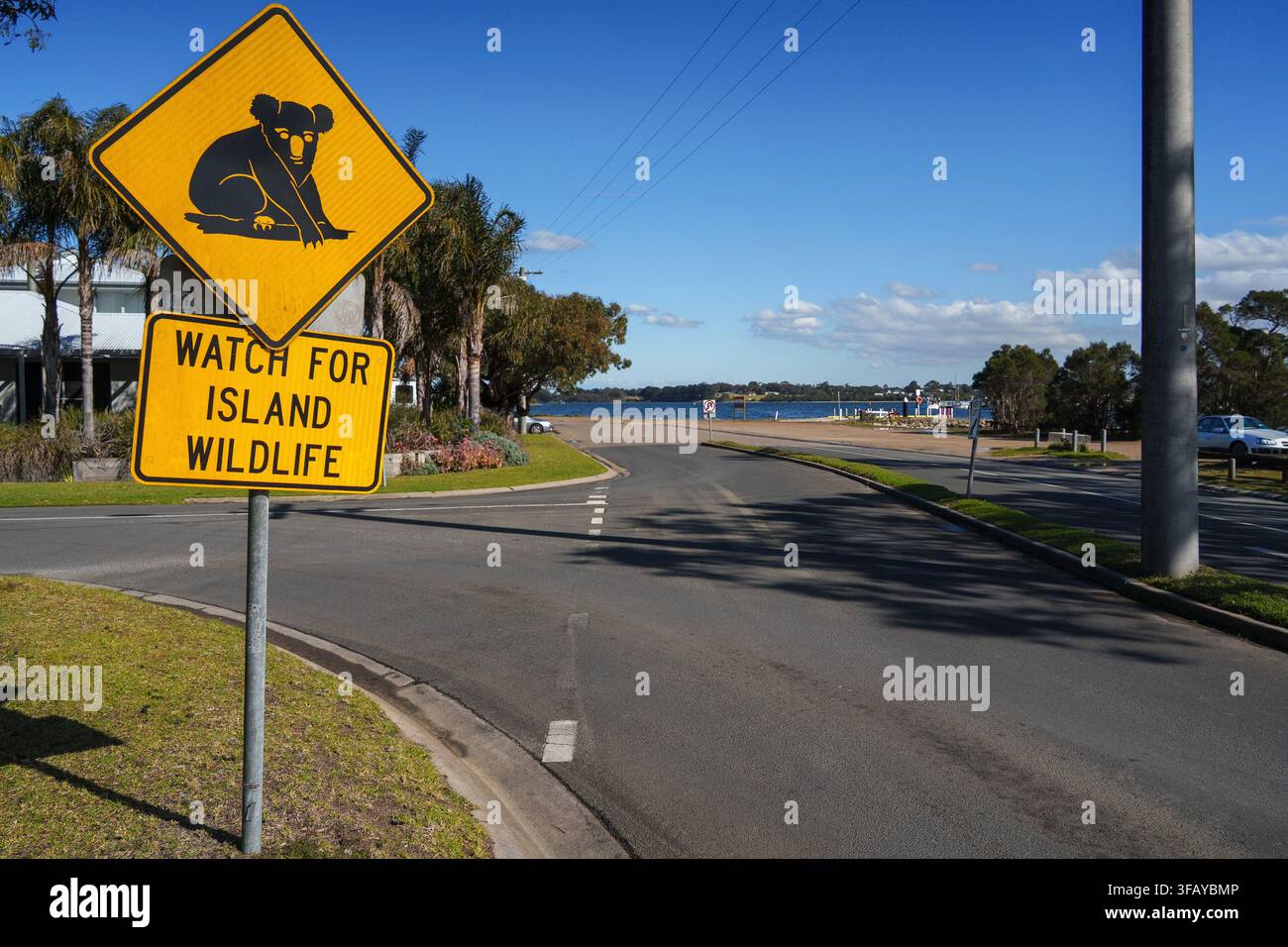 Un panneau de signalisation jaune vif avertit les conducteurs de faire attention aux koalas sur Raymond Island en Victoria, Australie. Banque D'Images