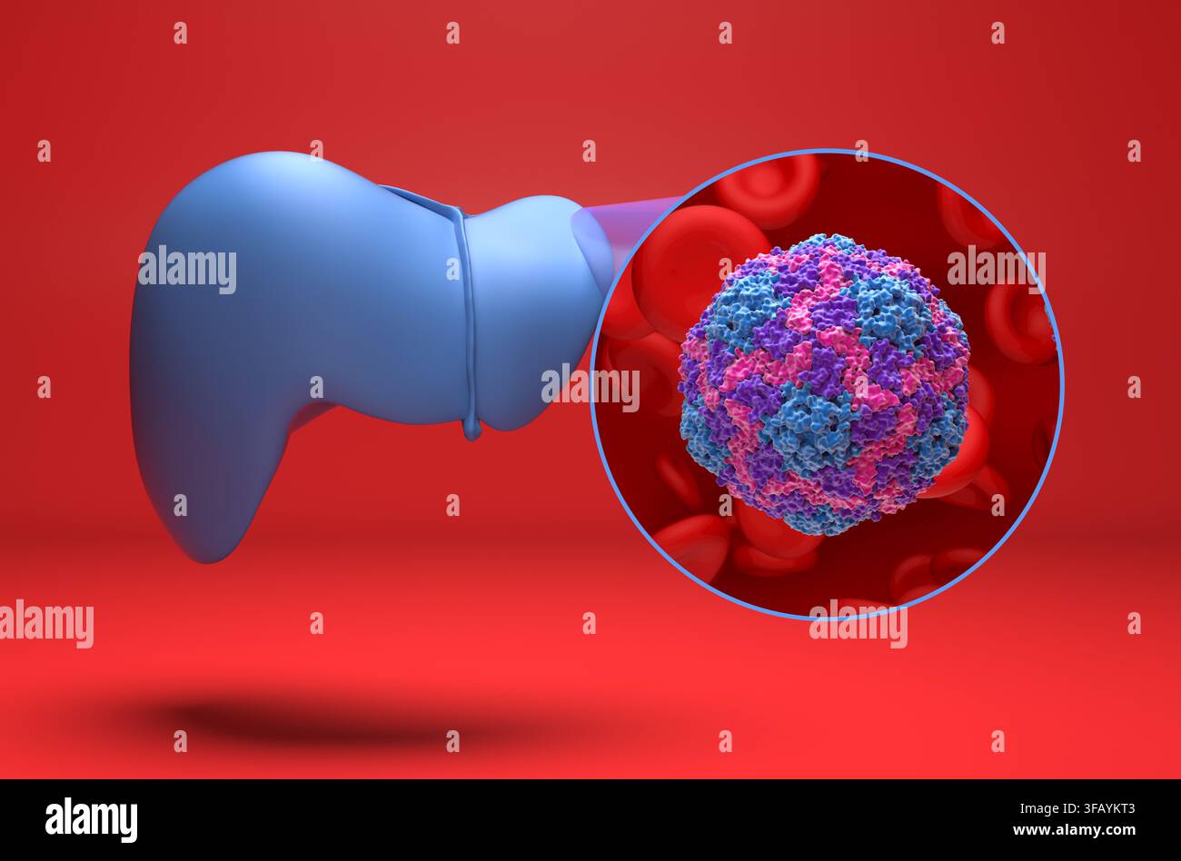 Virus de l'hépatite A (HAV) - illustration 3D isométrique Banque D'Images