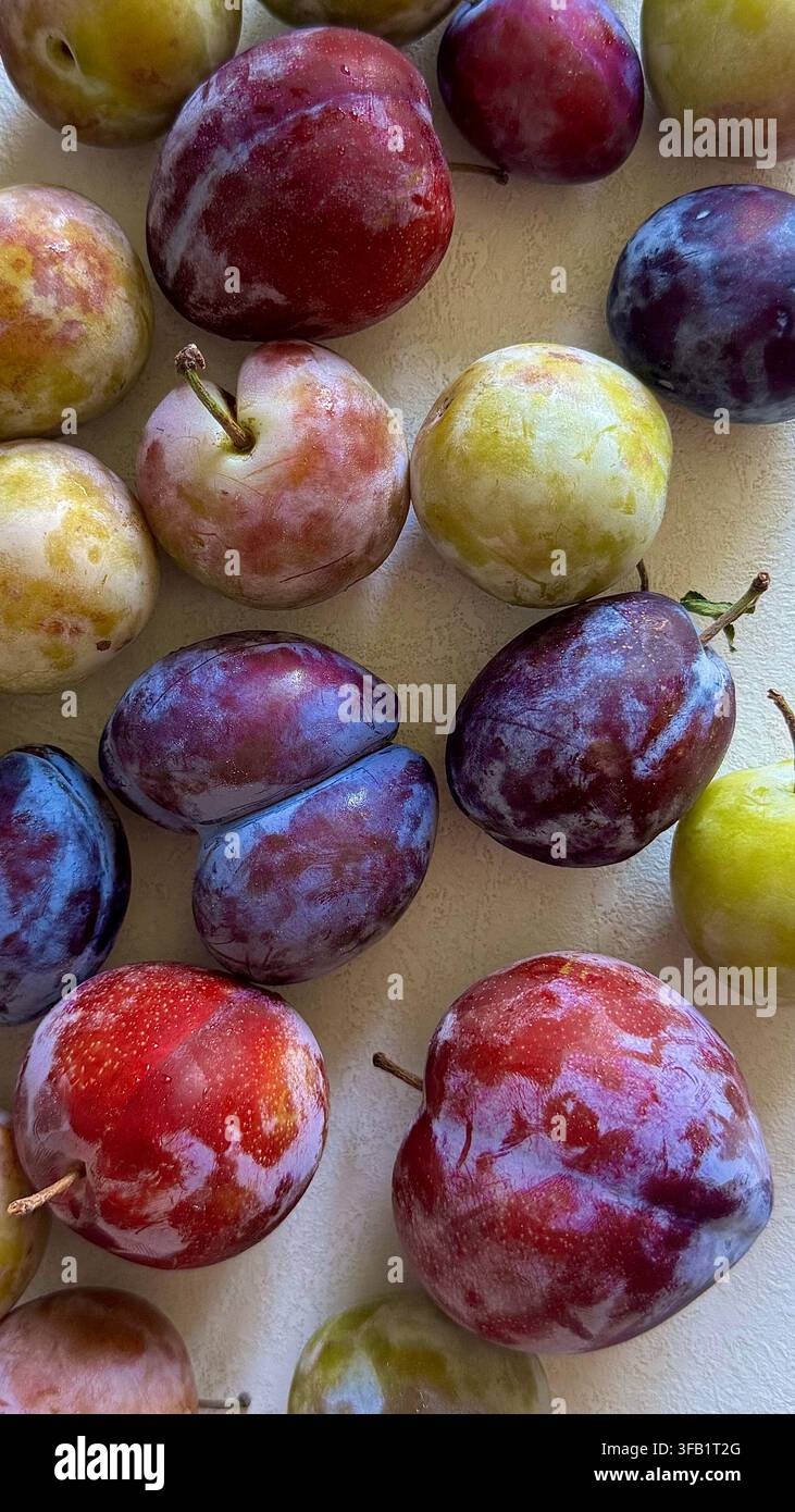Assortiment de prunes fraîches dans différentes couleurs naturelles, créant une composition fruitière saisonnière colorée avec des textures variées. Banque D'Images