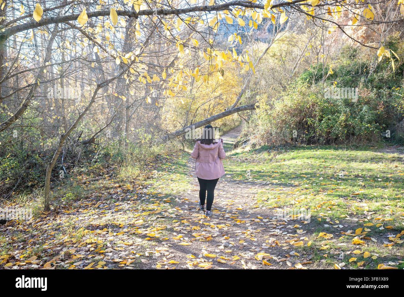 Femme marchant sur un sentier à travers une forêt d'automne à Guadalajara Banque D'Images