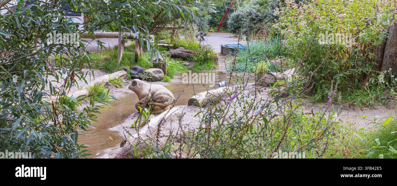 Un terrain de jeu naturel au Singelpark à Leiden présentant des figures sculptées de grenouilles et de cochons à côté d'un étang peu profond, entouré d'herbes et d'arbres, créant Banque D'Images