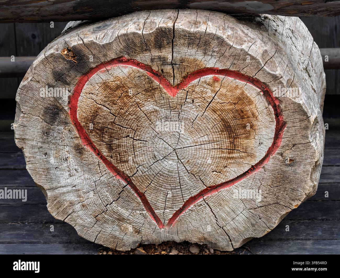 Un contour de cœur rouge est peint sur la surface coupée d’un vieux tronc d’arbre patiné, avec les cercles de croissance et les fissures naturelles clairement visibles. Le bois rustique Banque D'Images