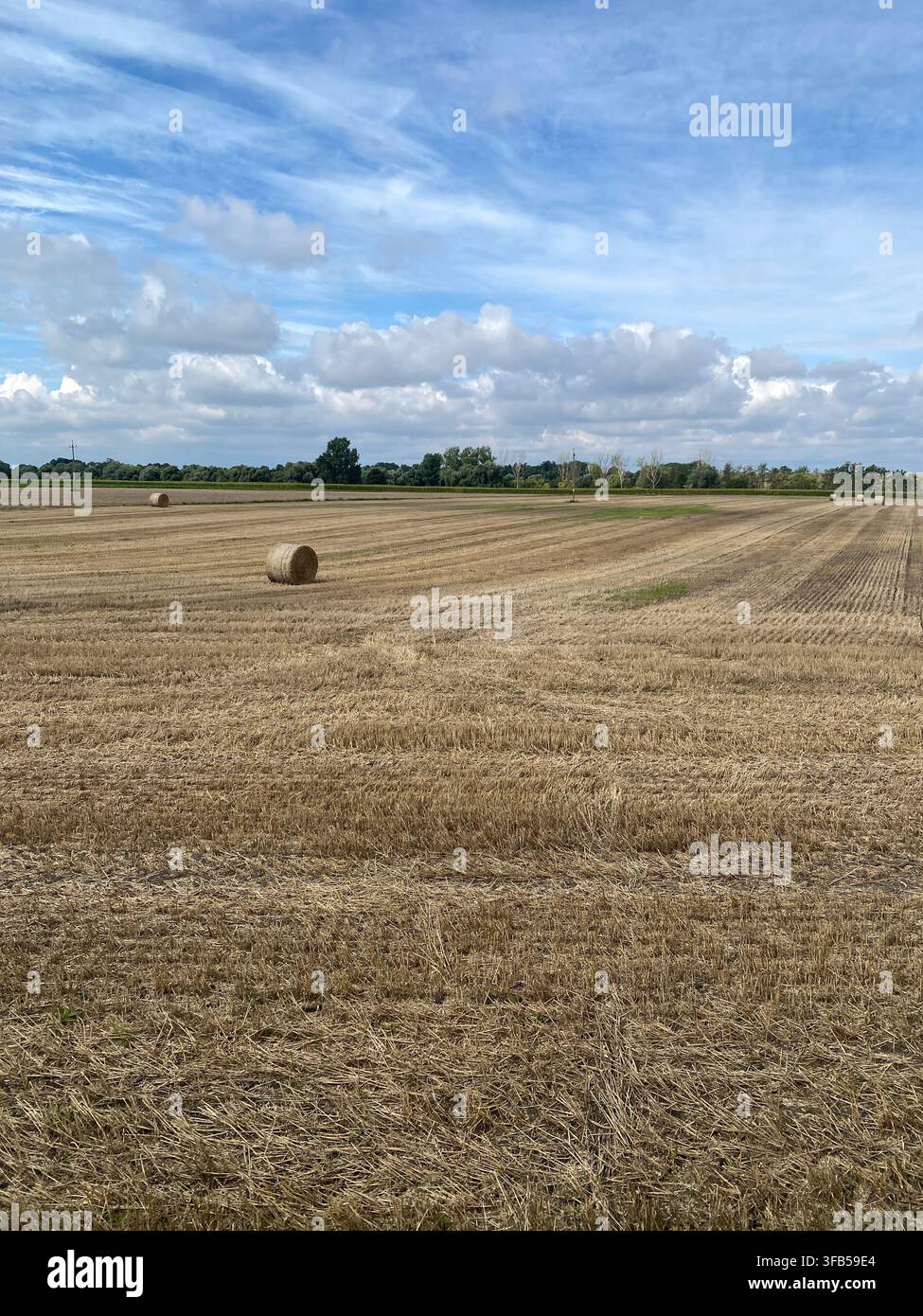 Une botte de foin ronde unique dans un vaste champ récolté sous un ciel bleu parsemé de nuages et un horizon ouvert. Banque D'Images