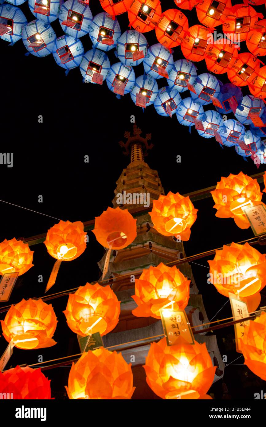 Des lanternes de lotus orange et bleu brillent chaleureusement contre un ciel nocturne sombre Banque D'Images
