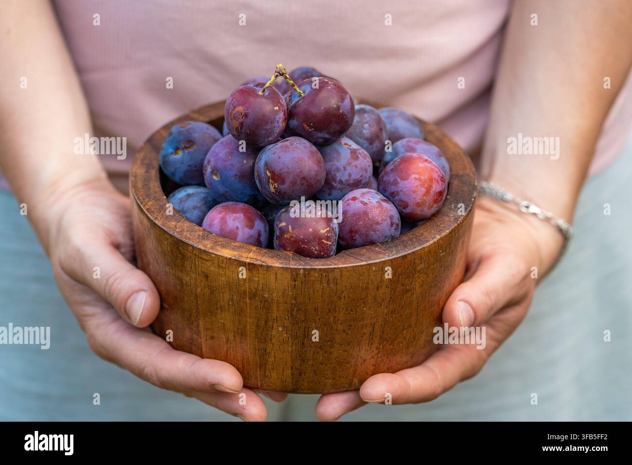 Récolte de prunes fraîches dans les mains du jardinier, fruits de saison mûrs dans un bol en bois Banque D'Images