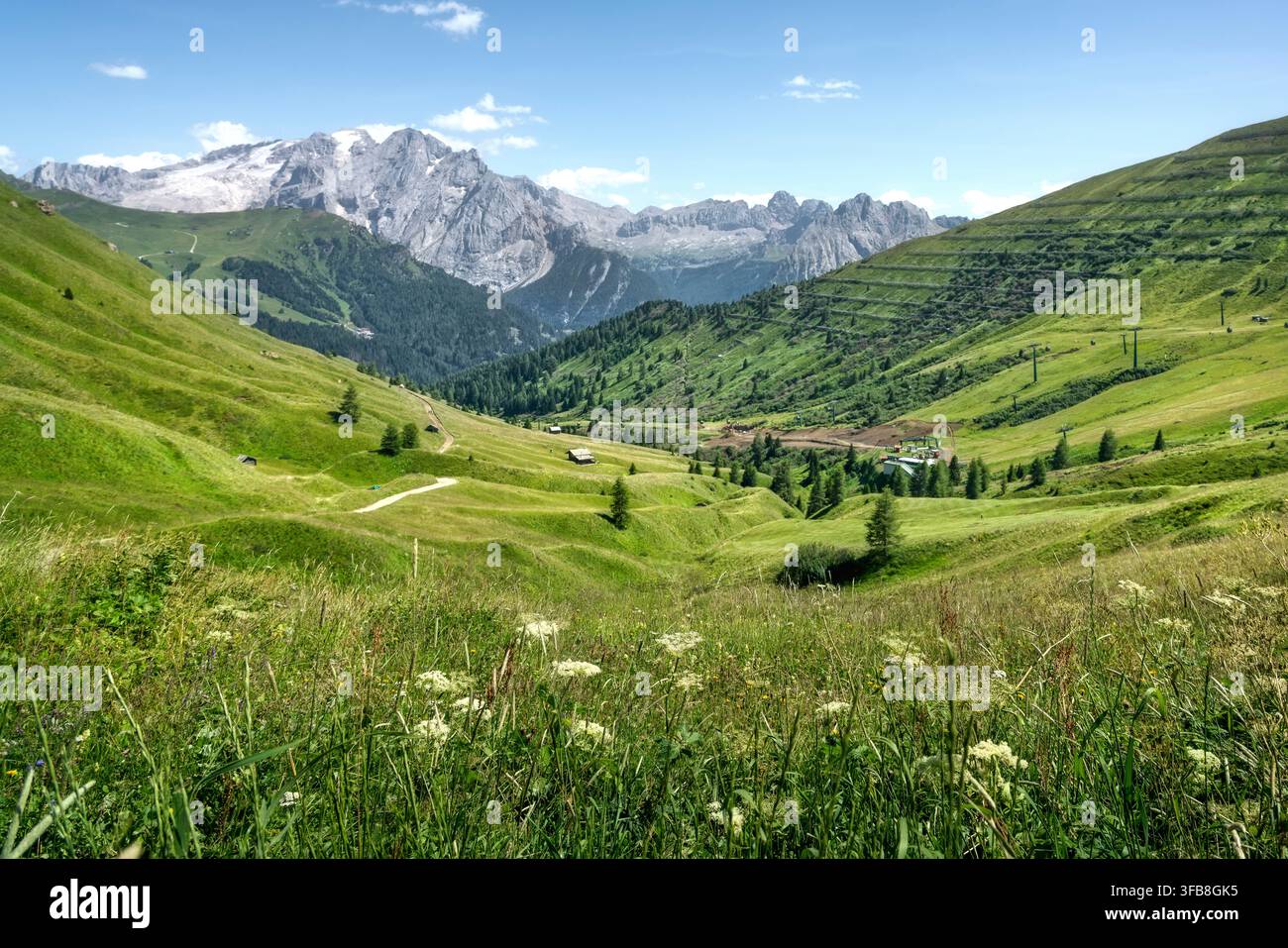 Vue alpine du glacier de la Marmolada et des pics rocheux depuis les prairies alpines verdoyantes du col du Sella. Dolomites, Trentin-Haut-Adige, Italie Banque D'Images