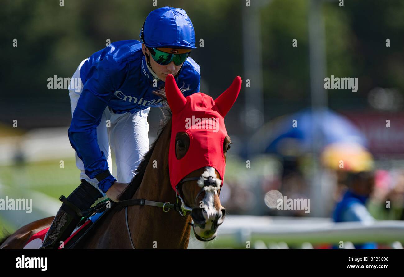 By The Book et le jockey Billy Loughnane vus arrivant deuxième dans le Virgin Bet Chester Stakes (Listed Race), 22/08/26. Crédits JTW Equine Images / Alamy. Banque D'Images