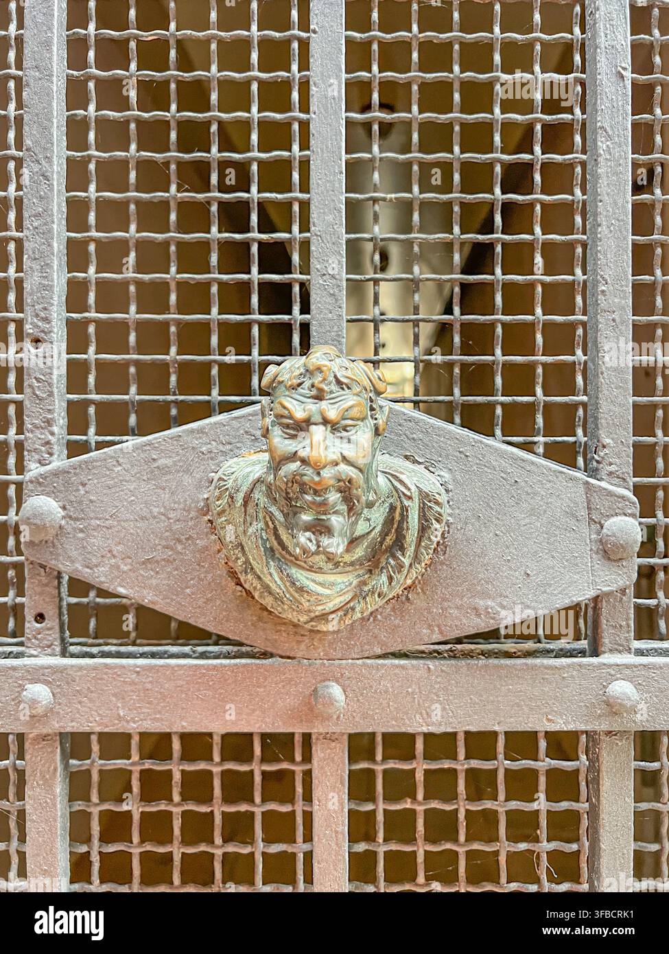 Gros plan d'une porte en bronze antique avec la tête d'un homme barbu montée sur une porte en fer gris avec treillis métallique Banque D'Images