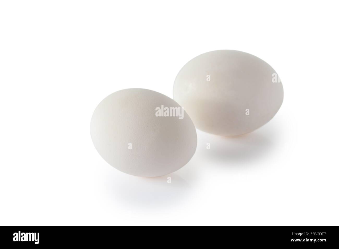 Une paire d'œufs de poule frais isolés sur un fond blanc. Texture détaillée de la coquille et forme naturelle. Parfait pour la photographie culinaire, alimentation saine Banque D'Images
