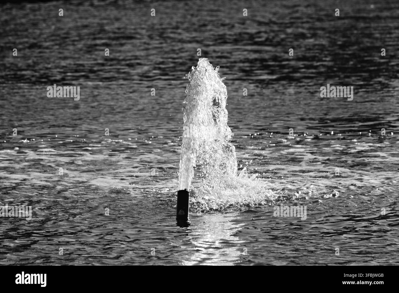 Une fontaine projette de l'eau depuis une lagune dans un parc riverain de Long Beach. Banque D'Images