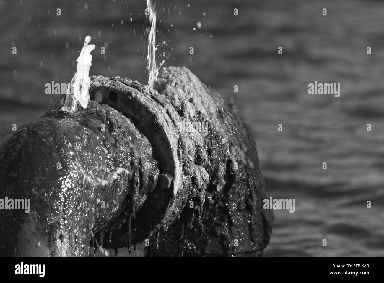 Des algues recouvrent un tuyau de fontaine qui pulvérise de l'eau dans une lagune de Long Beach. Banque D'Images