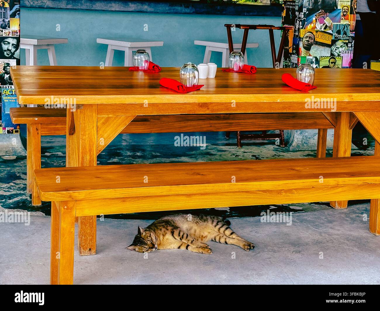Chat tigré dormant sous une table en bois d'un restaurant décontracté en plein air au resort GoldenEye en Jamaïque, avec des serviettes rouges, de la verrerie et un W coloré - Image de stock capturée avec un smartphone