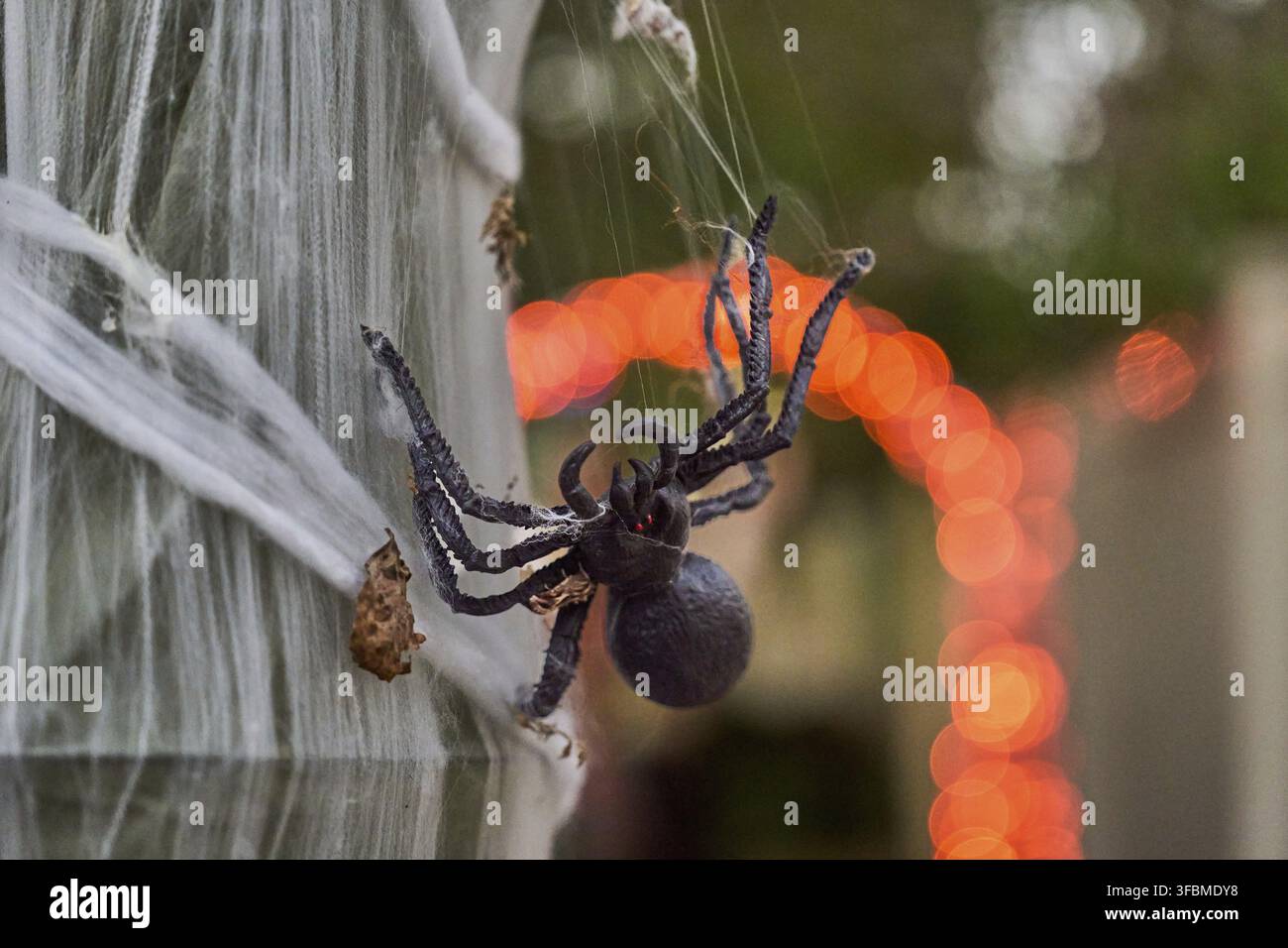 Accessoire d'araignée noire suspendu à d'épais fils de toile avec des lumières orange brillantes en arrière-plan. Une vue rapprochée montre les pattes, les crocs et la toile collante pour un spo Banque D'Images