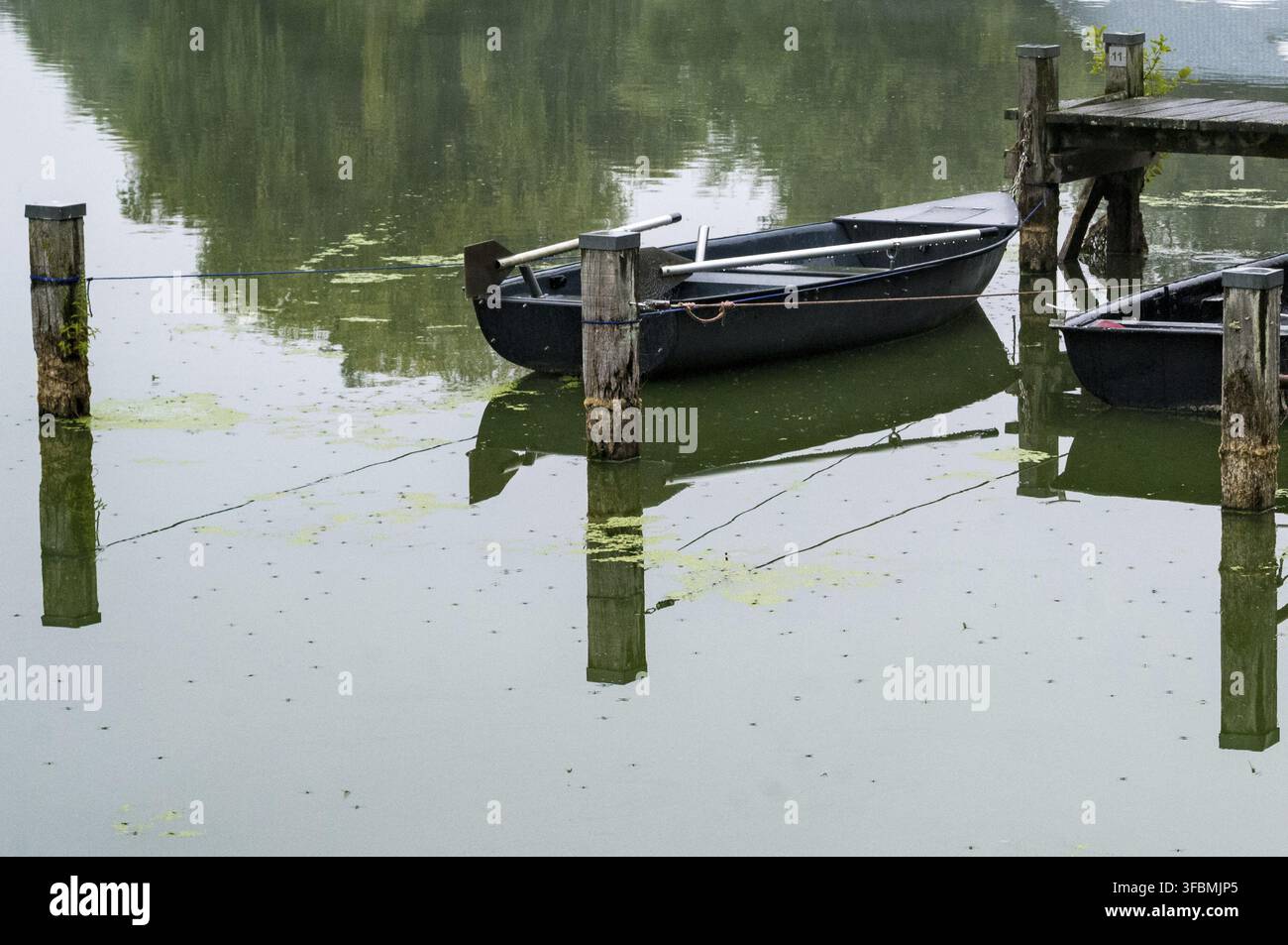 Les barques sont attachées à des poteaux près d'un quai. L'eau est calme et reflète la verdure environnante. Il fait jour et il n'y a personne, Hoxfeld Banque D'Images