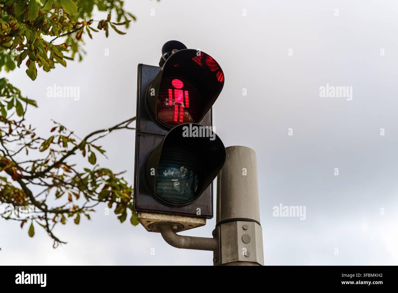 Feu piéton montrant un signal d'arrêt rouge contre un ciel nuageux avec des branches d'arbres, symbolisant la sécurité routière et la régulation des transports urbains Banque D'Images