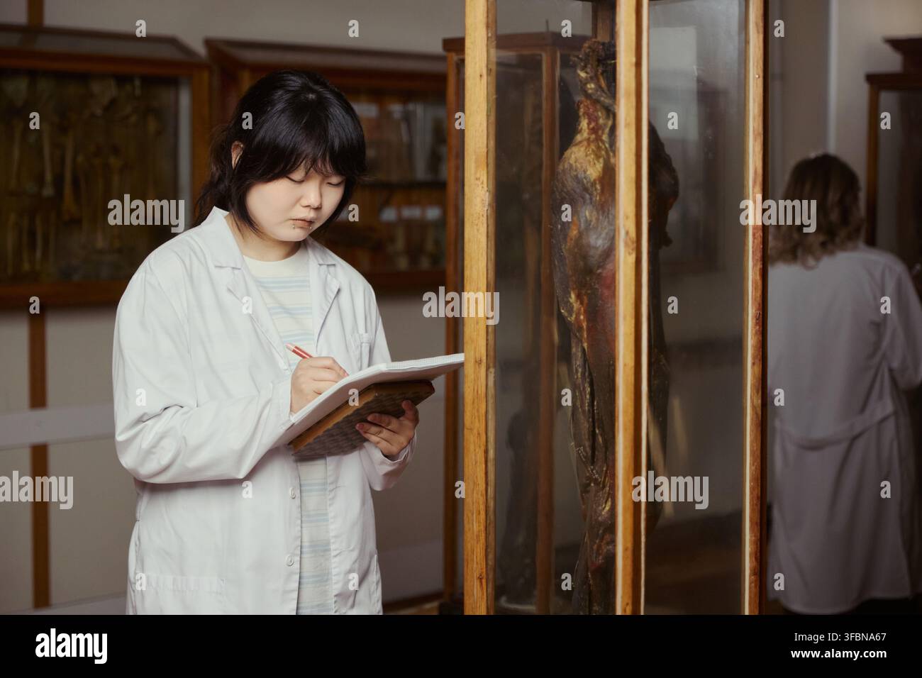 Étudiante en médecine asiatique jeune adulte en blouse de laboratoire prenant des notes dans un musée d'anatomie, étudiant des spécimens conservés. Image adaptée aux brochures universitaires et au marketing de l'éducation médicale Banque D'Images