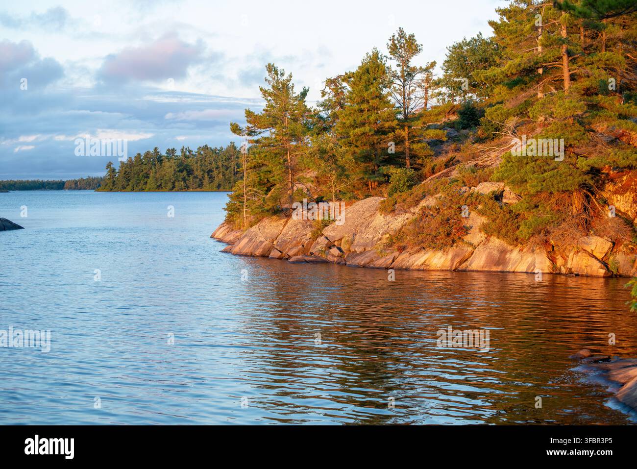 Une côte rocheuse de la baie Georgienne baignée dans la lumière de l'aube Banque D'Images