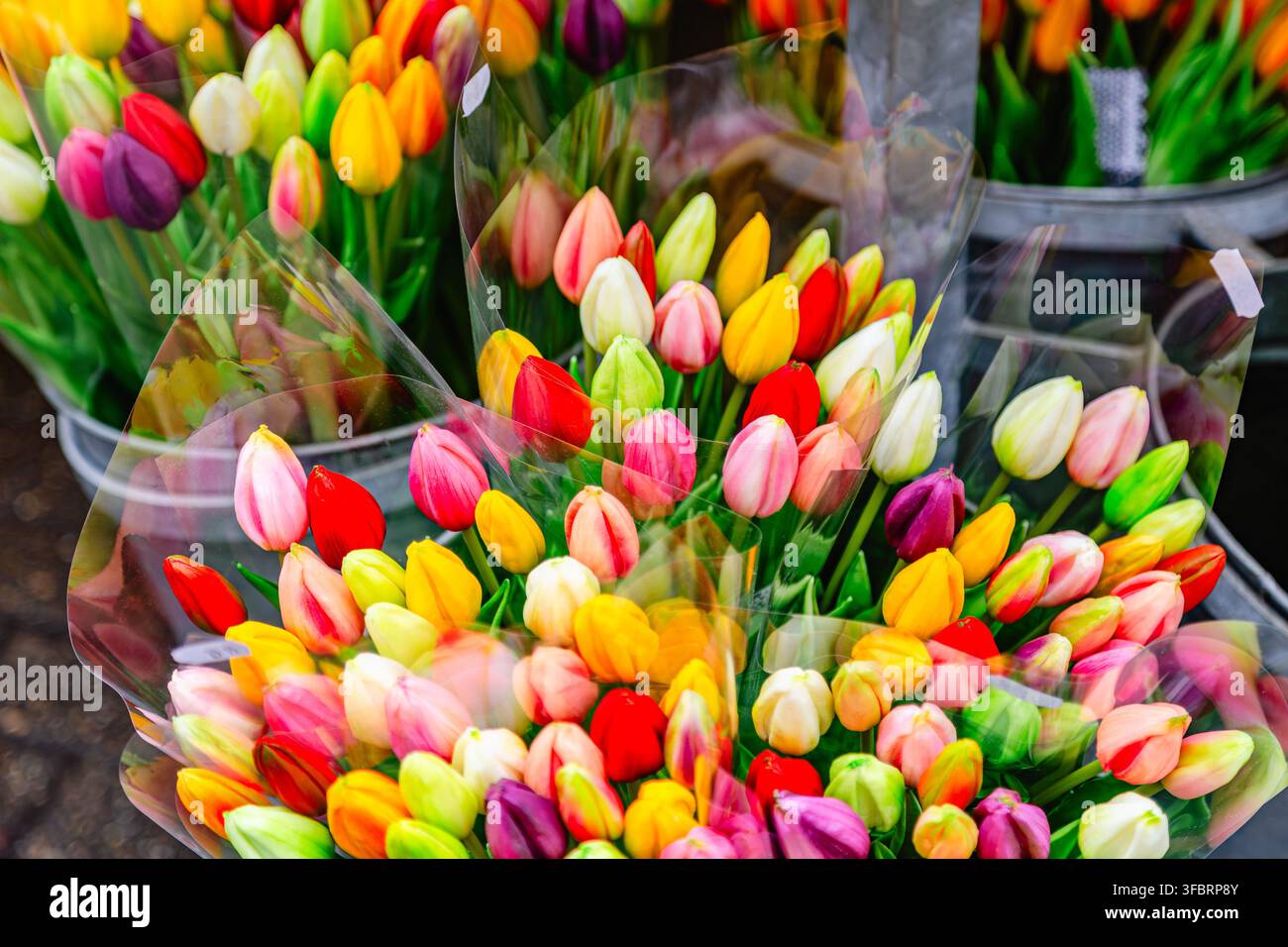 Tulipes colorées à vendre sur un marché dynamique au printemps. Banque D'Images