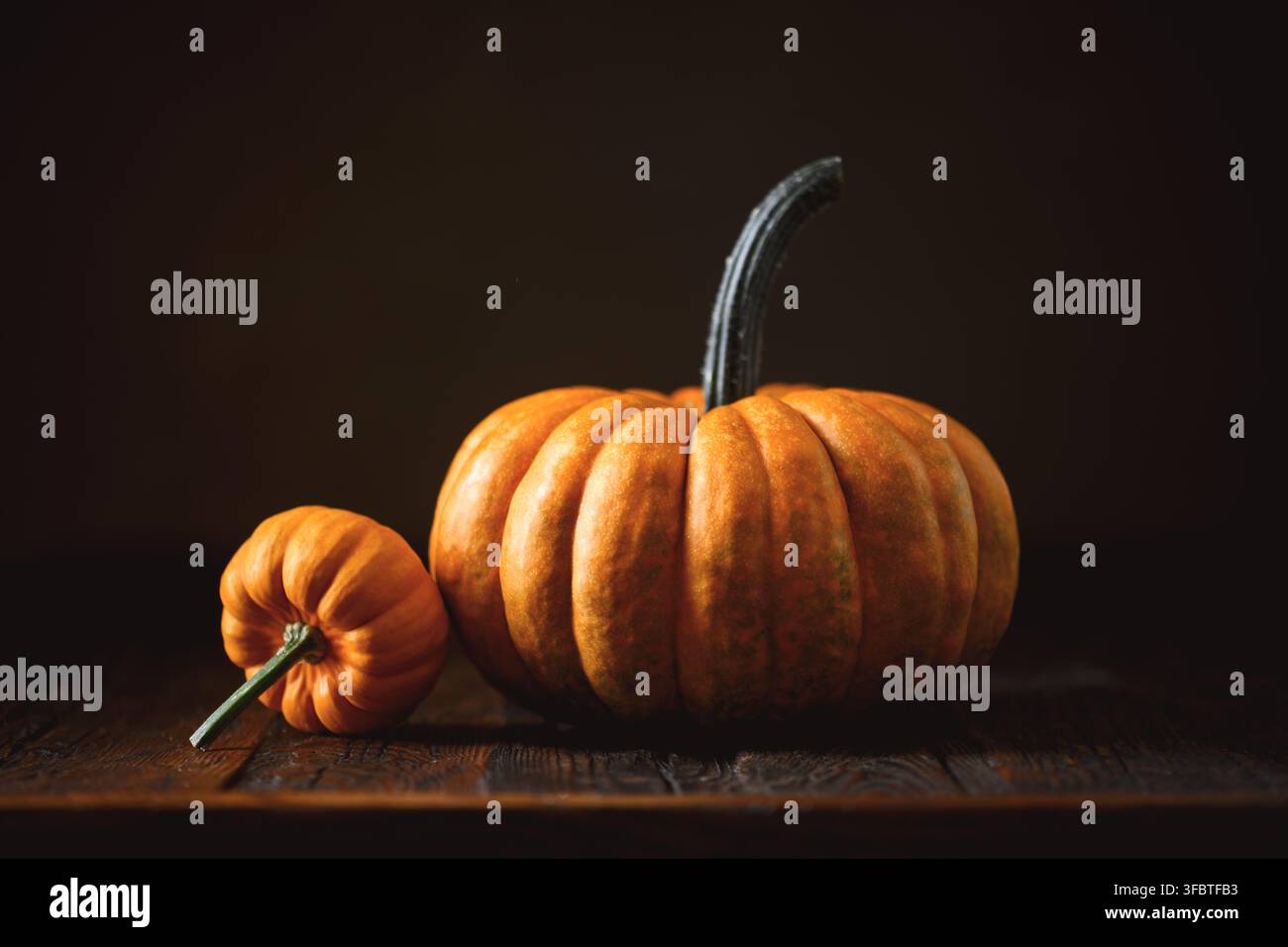 Citrouille décorative avec compagnon miniature dans un éclairage dramatique en lumière basse. Composition saisonnière d'automne avec courge et concept de décoration de Thanksgiving Banque D'Images