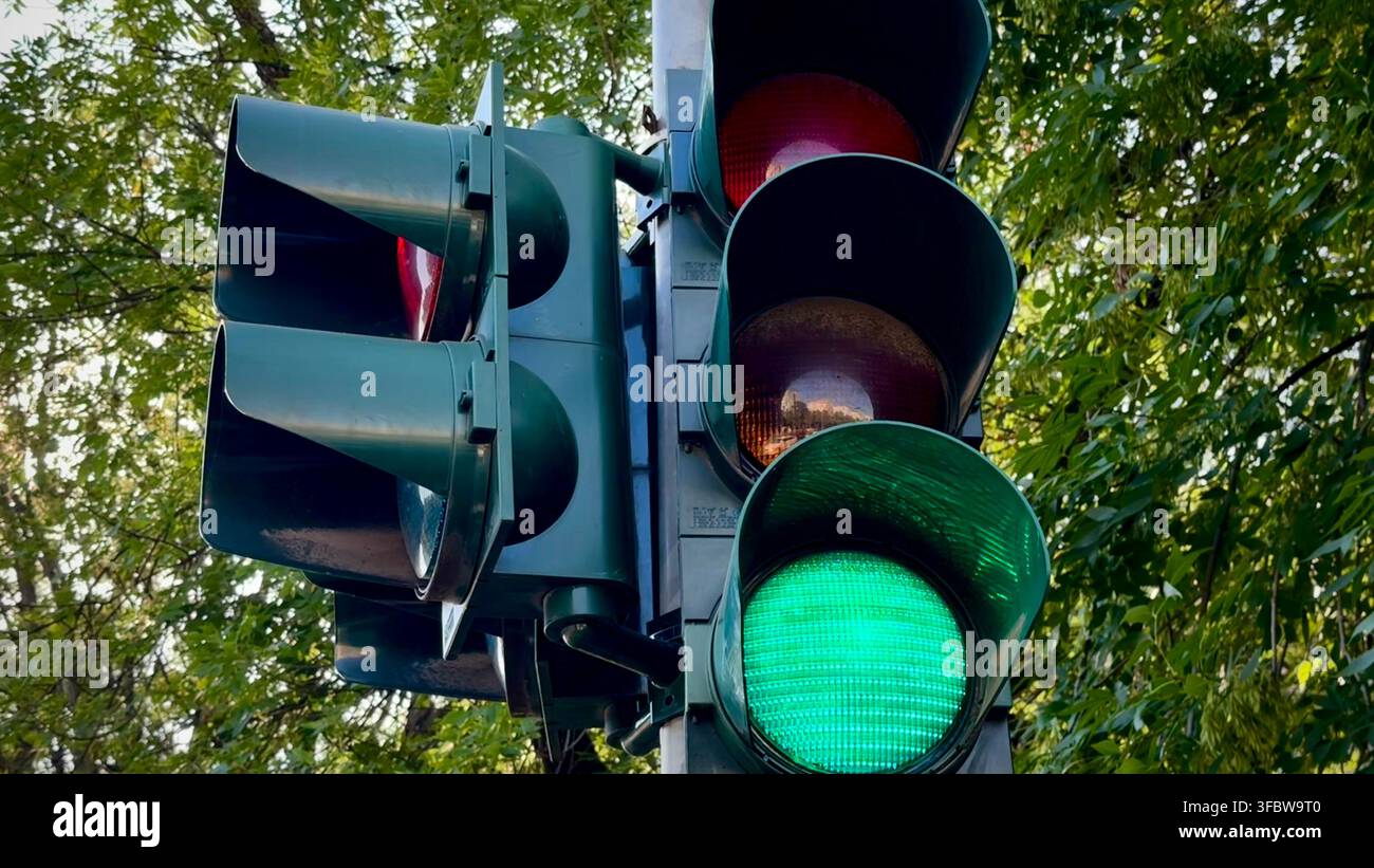 Feu de circulation vert vif à une intersection urbaine entourée d'arbres, représentant le mouvement, l'autorisation, le flux de trafic et les transports. Banque D'Images