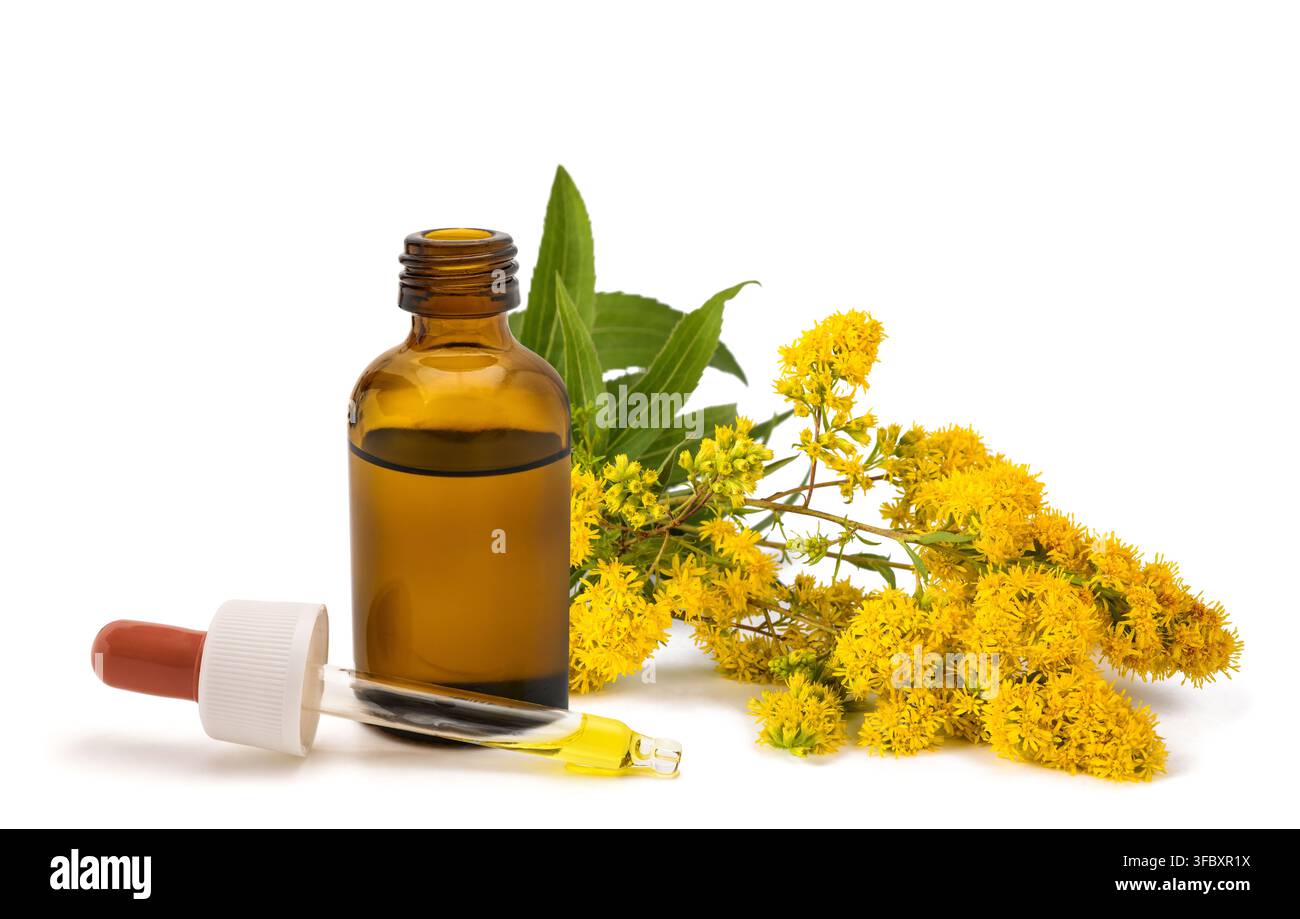Extrait végétal de Solidago gigantea dans une bouteille à compte-gouttes, isolé sur fond blanc. Remède botanique naturel et concept de médecine à base de plantes. Banque D'Images