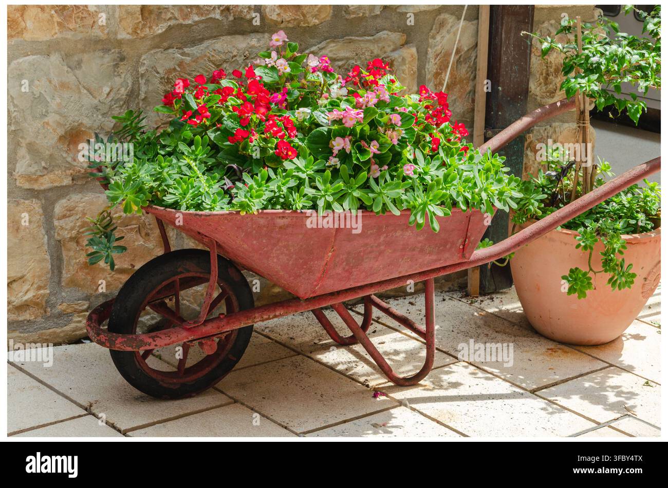 Brouette rustique remplie de fleurs colorées dans un village méditerranéen Banque D'Images