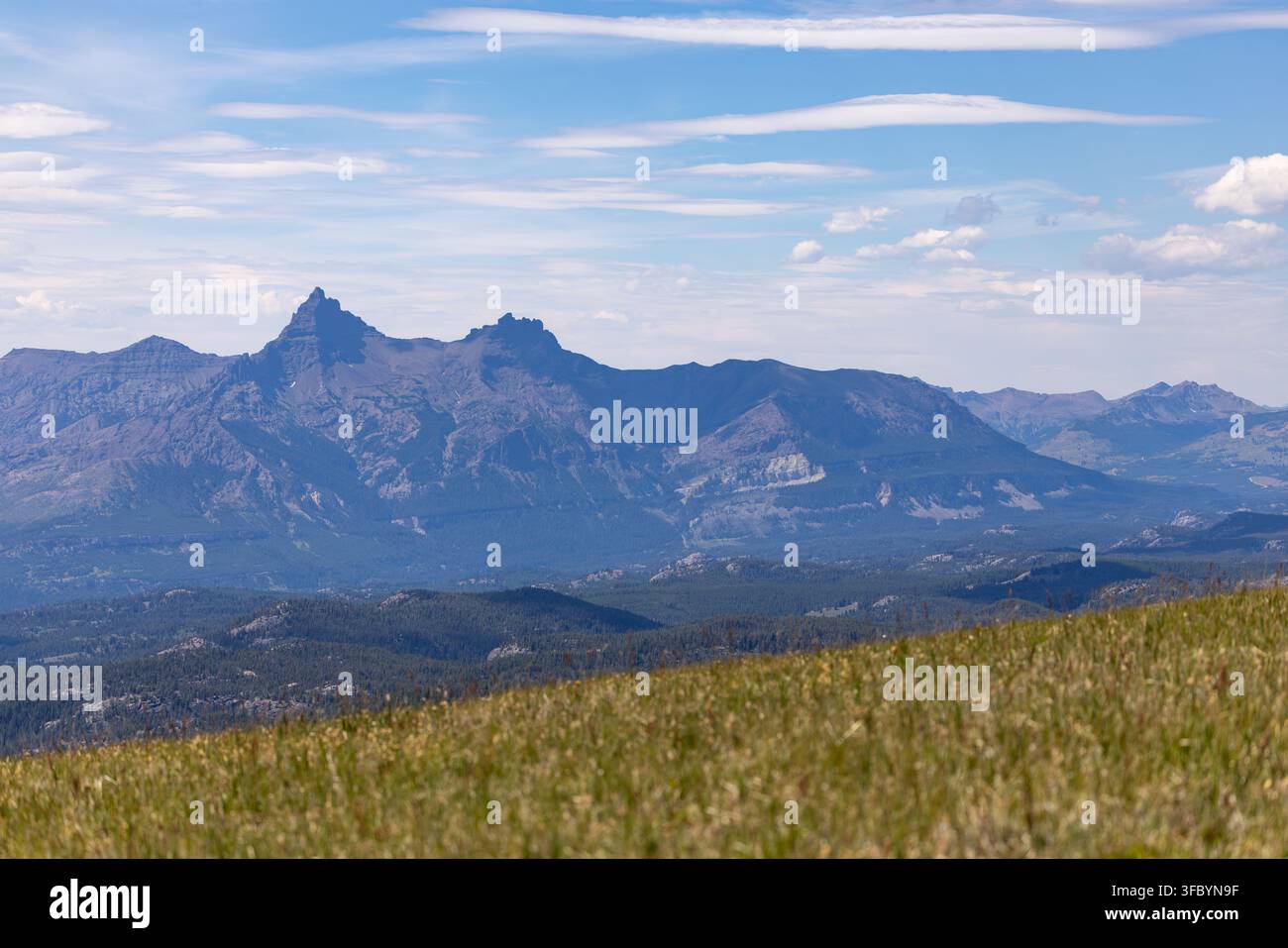 Vue de l'iconique Pilot Peak et Index Peak dans la chaîne des Absaroka, dominant les pentes élevées de la toundra alpine. Banque D'Images
