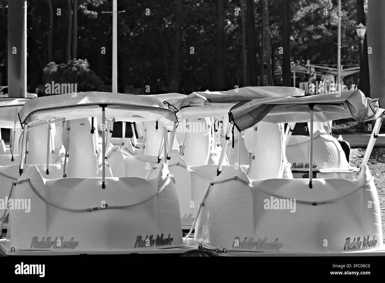 Des bateaux à rames blancs sont amarrés dans une lagune en bord de mer ensoleillée de Long Beach. Banque D'Images