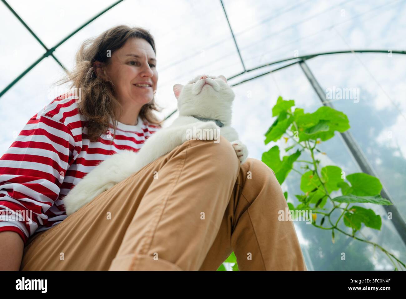 Une dame heureuse et son chat blanc profitent de moments paisibles ensemble dans une véranda lumineuse. La propriétaire d'animal de compagnie se sent satisfaite en câlinant son compagnon félin dans cet espace de jardin intérieur ensoleillé. Banque D'Images