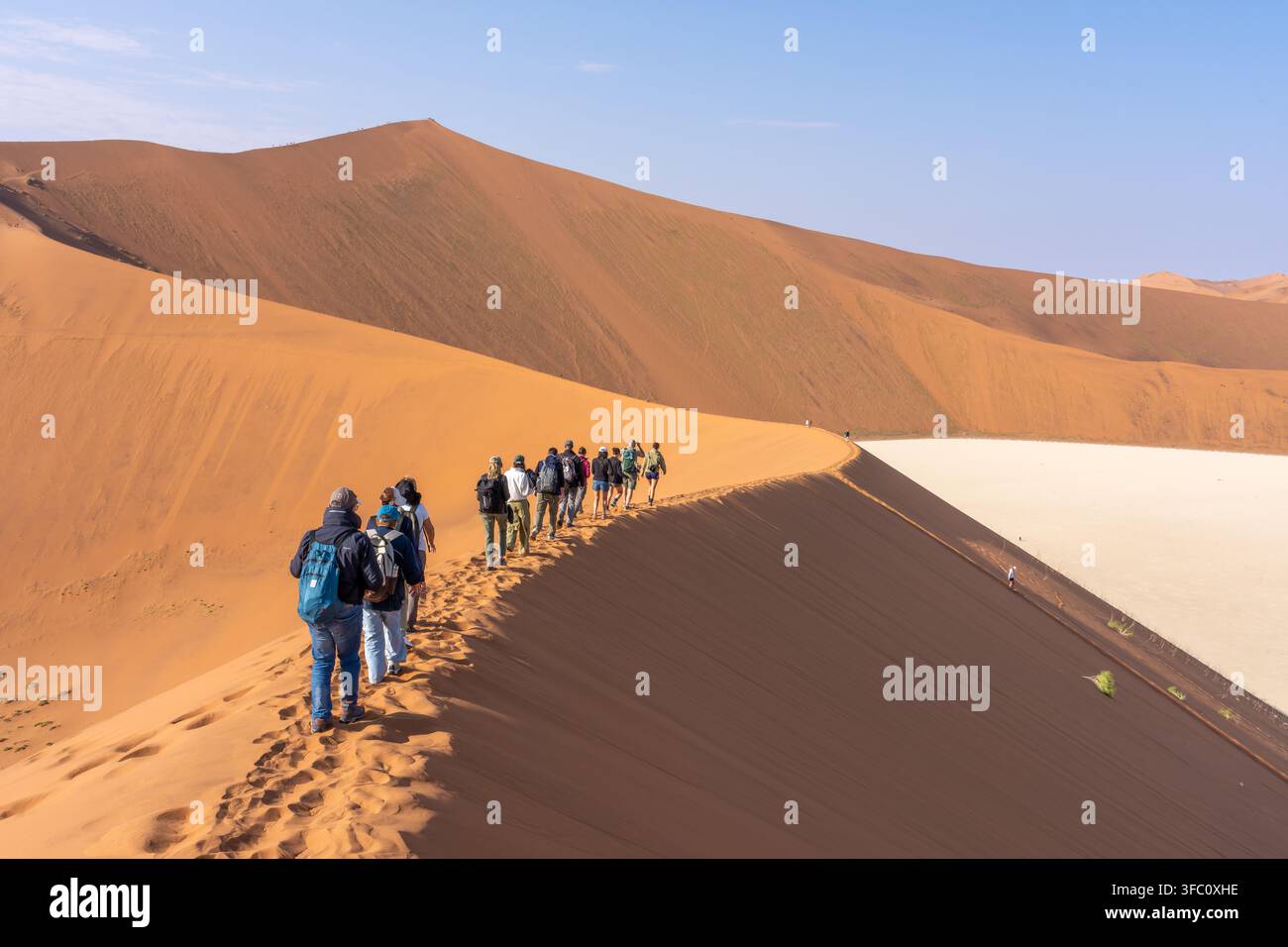 Groupe de touristes randonnant le long de la crête étroite d'une dune de sable rouge imposante, surplombant une vaste plaine d'argile blanche sous un ciel bleu clair dans le Namib Banque D'Images