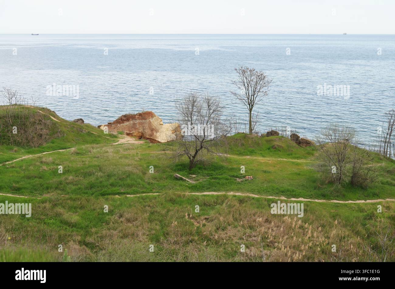 Prairie verte avec de l'herbe fraîche sur le bord d'une falaise au-dessus de la mer paisible. Concept de beauté naturelle côtière, d'éveil printanier et de Méditerranée tranquille Banque D'Images