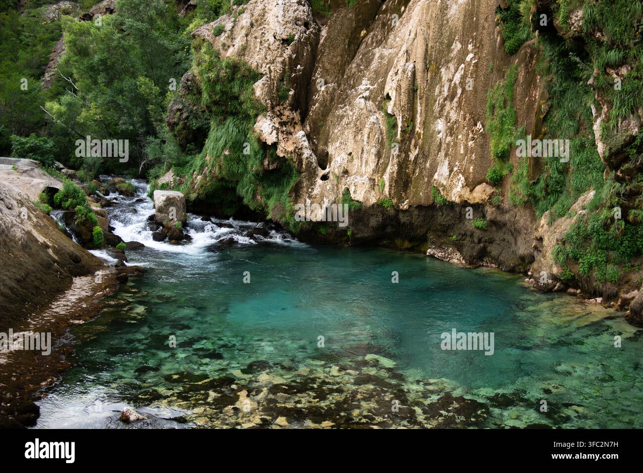Source turquoise cristalline et bassin de rivière d'eau douce sous la falaise Banque D'Images