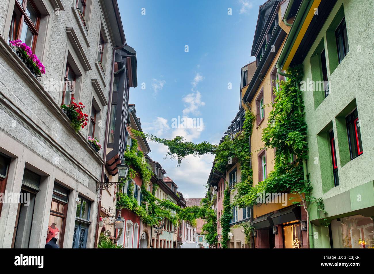 Altstadt est le centre historique de Fribourg, Forêt Noire en Allemagne Banque D'Images