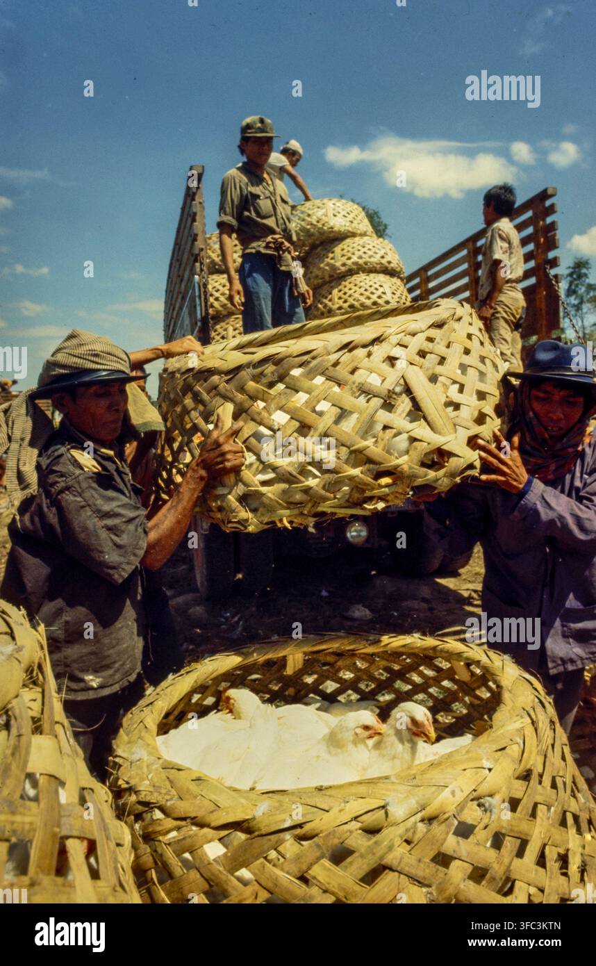 Camp de réfugiés de Khao-I-Dang, Thaïlande, nov 1979. Des livraisons de poulets frais sont acheminées vers le camp. Ouvert après l'invasion du Cambodge par le Vietnam, il a hébergé des dizaines de réfugiés cambodgiens et est devenu le plus grand centre de réfugiés à la frontière. Banque D'Images