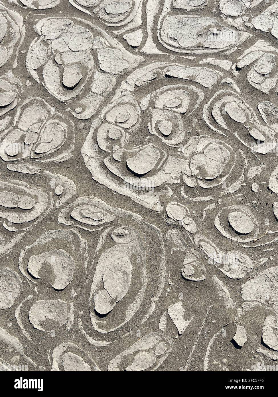 Motif de boue et de sable dans une playa de dunes de Mesquite dans le parc national de Death Valley, Californie. - Image de stock capturée avec un smartphone