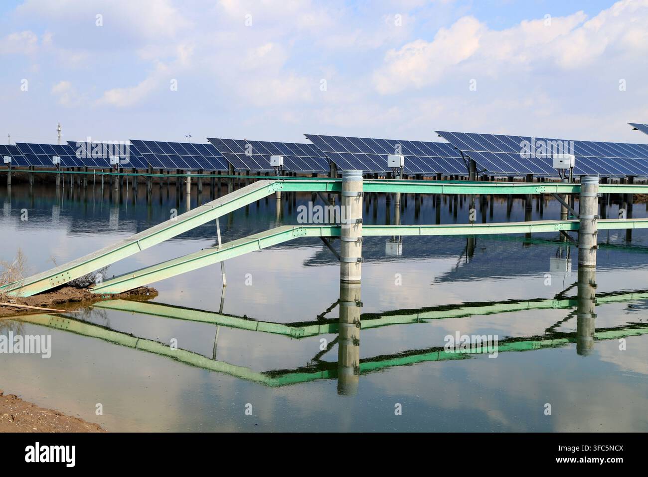 Des rangées de panneaux photovoltaïques solaires sont soigneusement installées sur une eau calme, avec des structures de montage vertes s'étendant dans l'eau. Leurs reflets sont c Banque D'Images