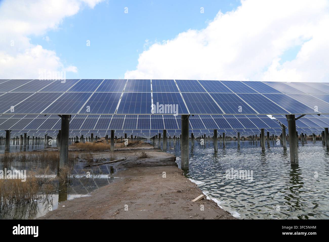 Sous un ciel bleu clair, des rangées de panneaux photovoltaïques bleu profond sont installés sur l'eau, formant un dispositif spectaculaire. Un chemin de terre au milieu Banque D'Images