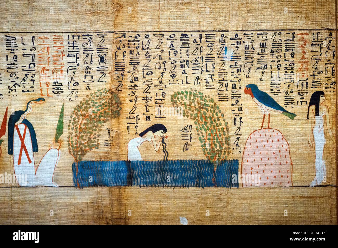 Détail - Papyrus de Djedkhonsuiusankh, la chanteuse d'Amon - troisième période intermédiaire - Papyrus - cachette de Bab el-Gasus - Deir el-Bahari, Louxor Banque D'Images