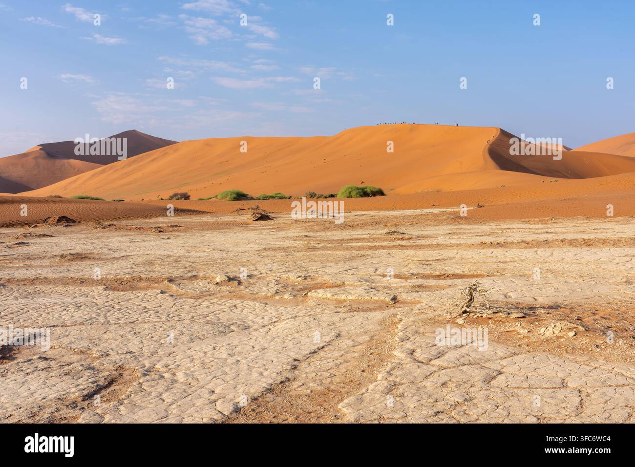 Vaste désert de Sossusvlei avec des dunes orange s'élevant au-dessus d'une plaque de terre craquelée, une végétation clairsemée et des visiteurs lointains en exploration. Sossusvlei, Namibie Banque D'Images
