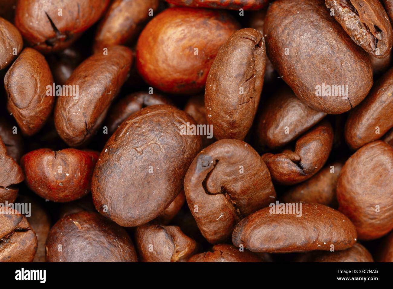 Vue macro des grains de café torréfiés avec texture et détails Banque D'Images