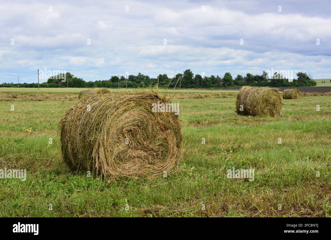 Meules de foin dans un champ agricole sous un ciel nuageux espace de copie Banque D'Images