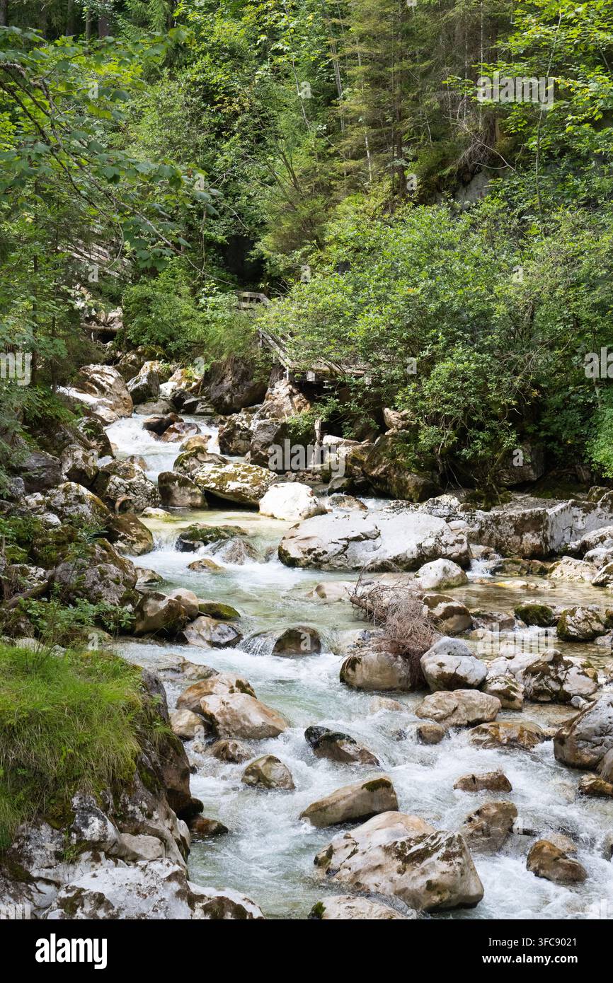 Ruisseau alpin, la Ramsauer Ache, traversant la forêt magique (Forêt Enchantée) à côté du lac Hintersee, Berchtesgaden, Allemagne Banque D'Images