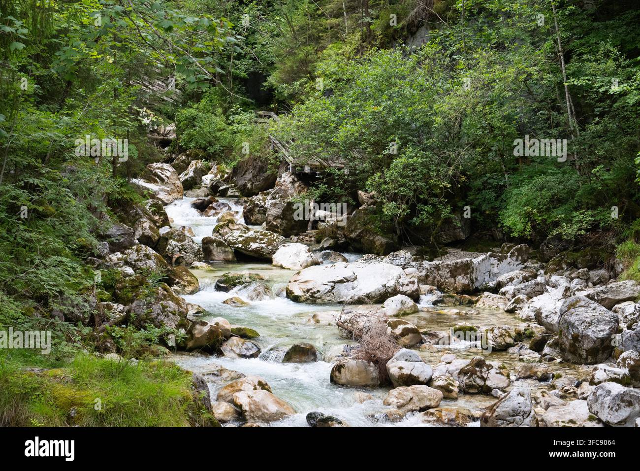 Ruisseau alpin, la Ramsauer Ache, traversant la forêt magique (Forêt Enchantée) à côté du lac Hintersee, Berchtesgaden, Allemagne Banque D'Images
