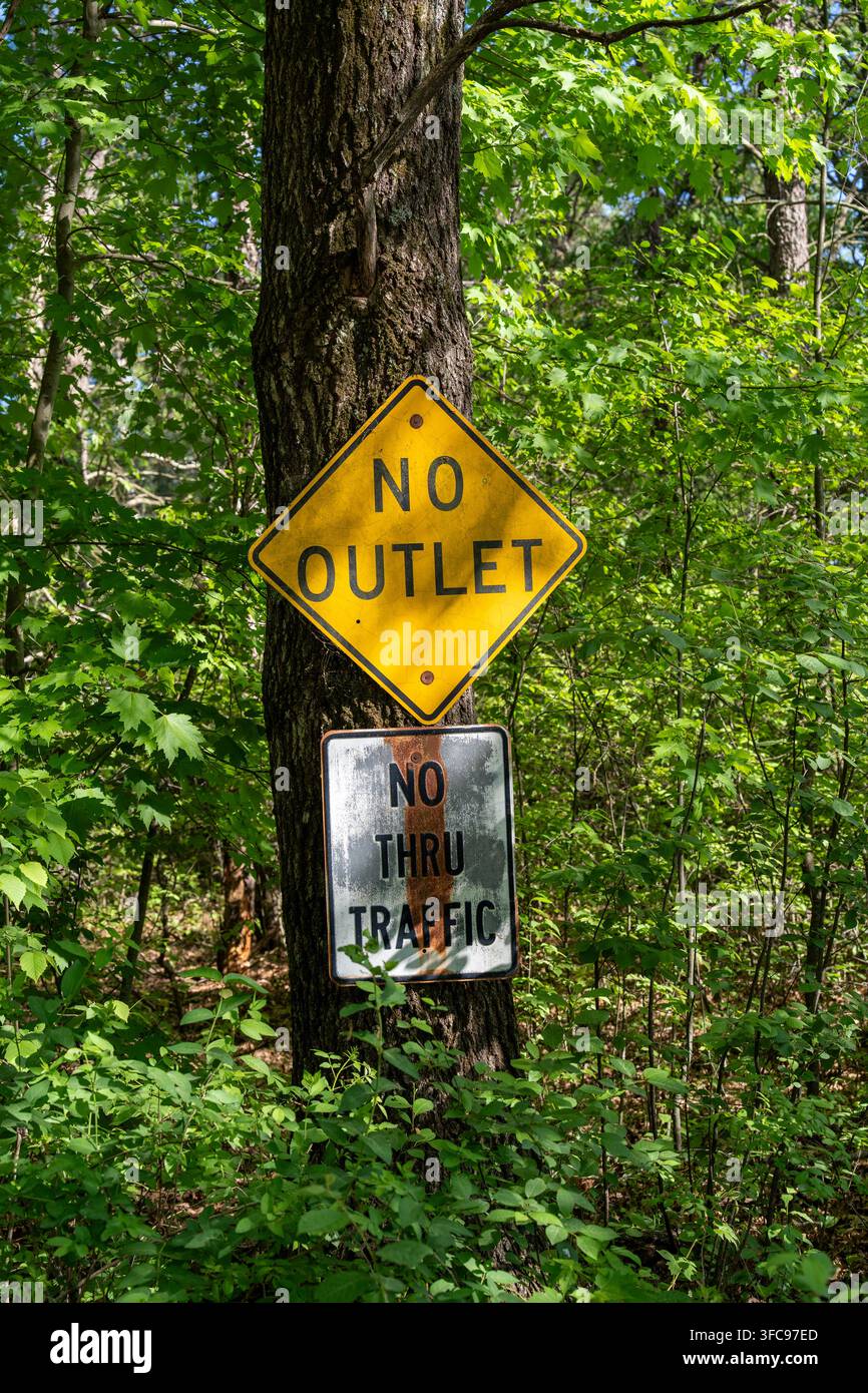 Deux panneaux de signalisation montés sur un arbre dans une zone boisée, comprenant un panneau d'avertissement jaune „No Outlet“ et un panneau usé „No Thru Traffic“ en dessous. Rurale Banque D'Images