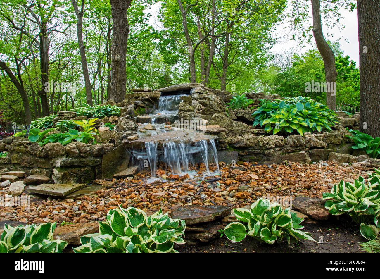Une magnifique scène naturelle tranquille présentant des eaux laiteuses fluides et douces descendant sur des gradins rocheux entourés d’un feuillage luxuriant d’hostas verts au Missouri. Banque D'Images