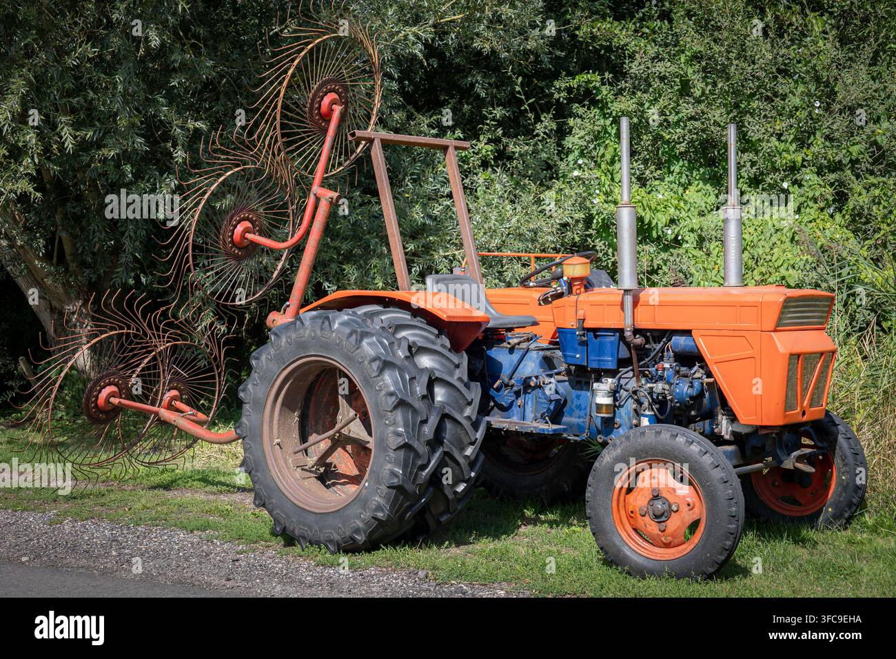 Un vieux tracteur orange avec un grand râteau à foin rouillé est garé sur un champ herbeux avec des arbres en arrière-plan Banque D'Images