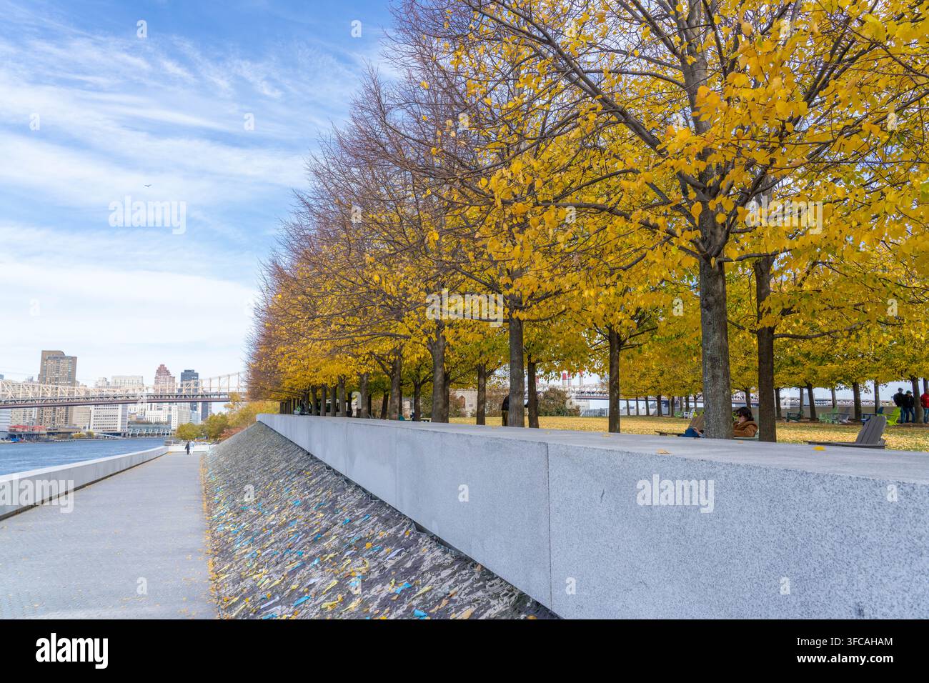 New York City, New York – 7 novembre 2025 : Les arbres perdent leurs feuilles aux couleurs d’automne dans le parc d’État FDR Four Freedoms de New York City Banque D'Images