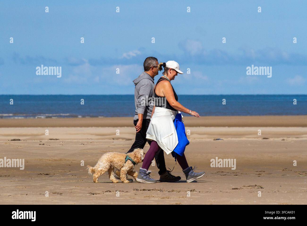 Un couple d'âge moyen se promène avec son petit Cockapoo crème sur une plage de sable sous un ciel bleu clair. Southport, Royaume-Uni. Banque D'Images